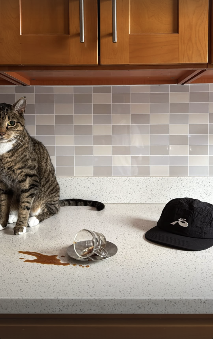 Screenshot 2026-02-12 at 11.44.40 PM.png