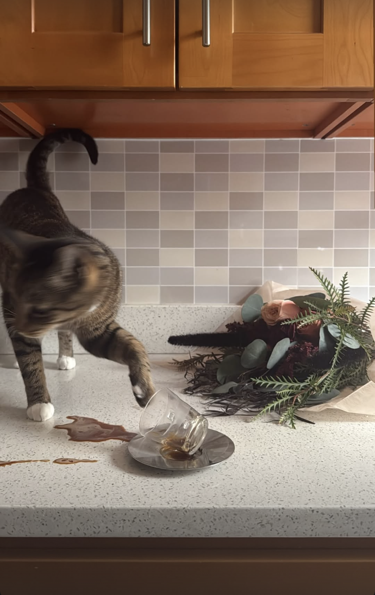 Screenshot 2026-02-12 at 11.45.06 PM.png