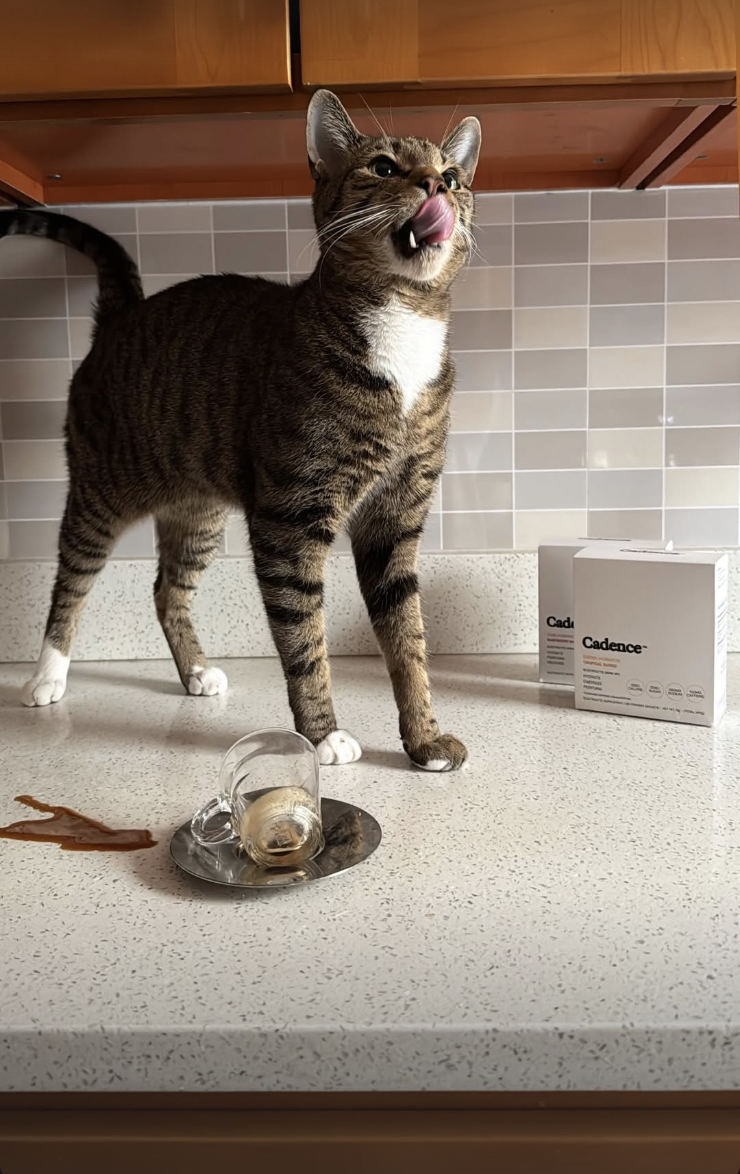 Screenshot 2026-02-12 at 11.44.23 PM.png