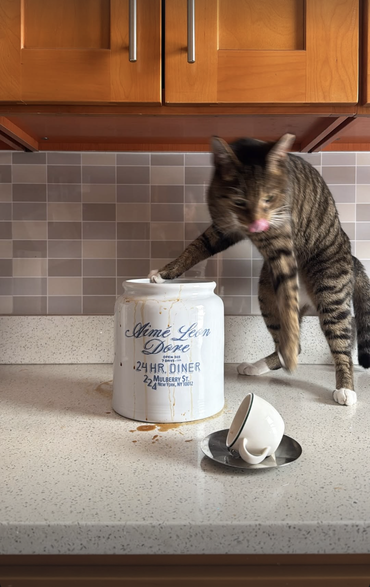 Screenshot 2026-02-12 at 11.44.47 PM.png