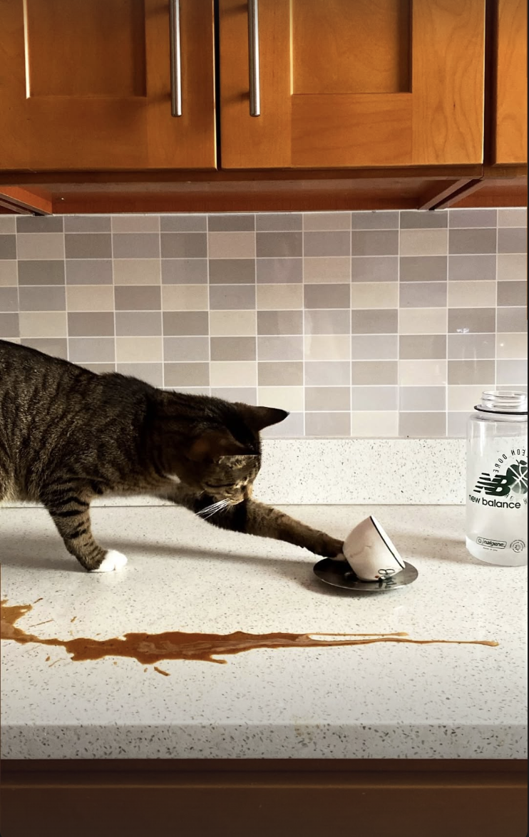 Screenshot 2026-02-12 at 11.43.29 PM.png