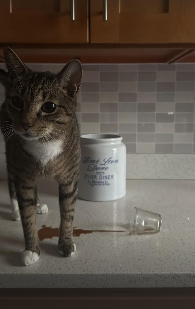 Screenshot 2026-02-12 at 11.45.03 PM.png