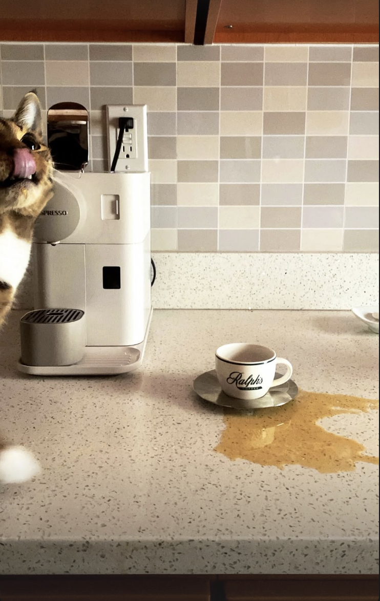 Screenshot 2026-02-12 at 11.41.44 PM.png