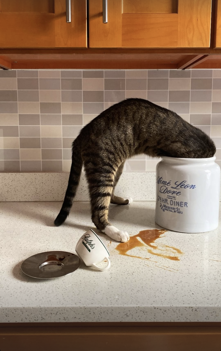 Screenshot 2026-02-12 at 11.43.39 PM.png