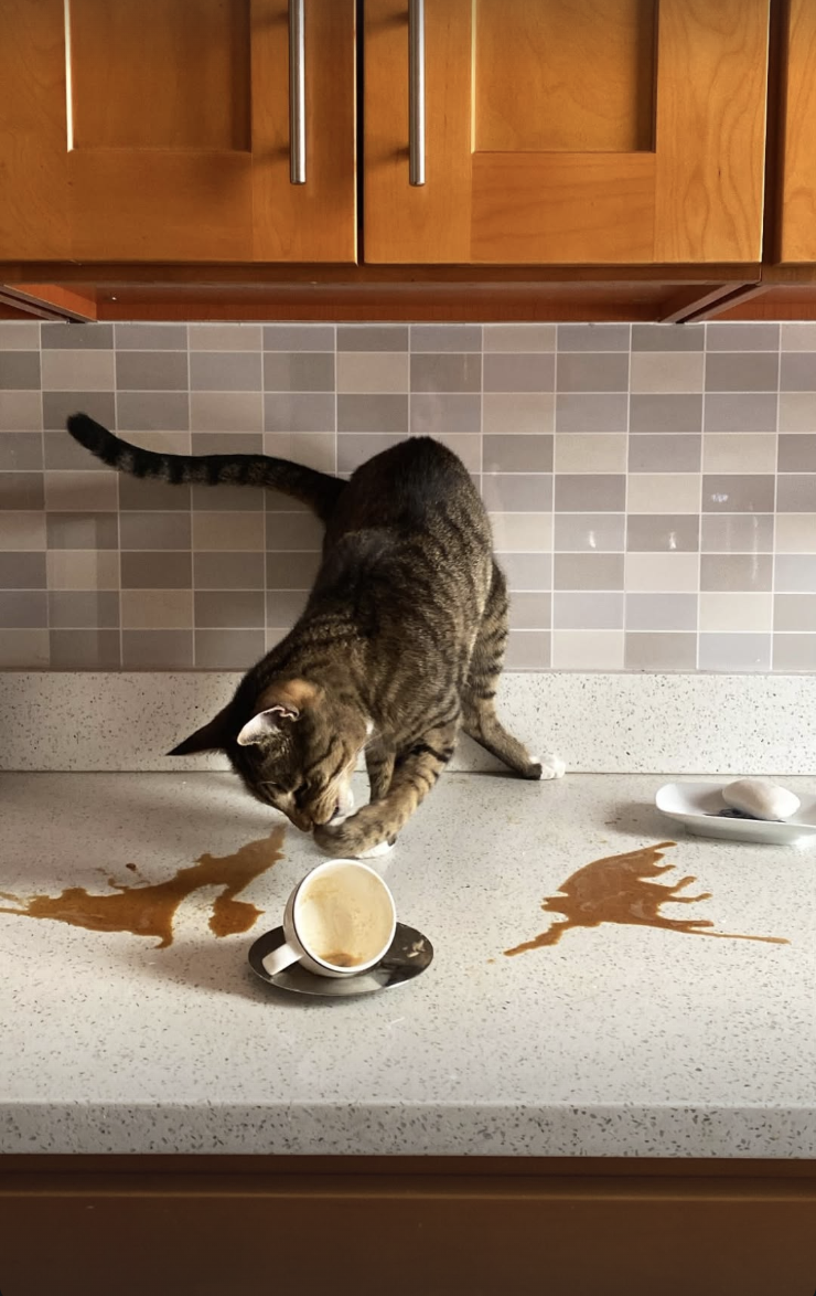 Screenshot 2026-02-12 at 11.43.34 PM.png