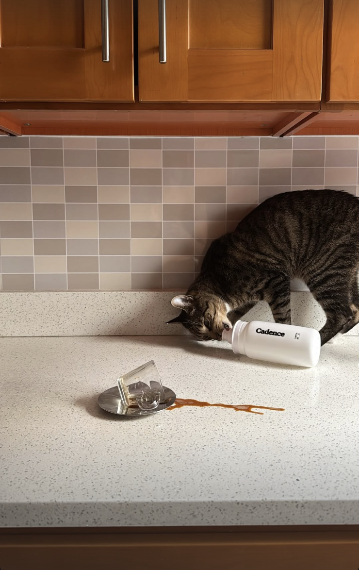 Screenshot 2026-02-12 at 11.44.26 PM.png