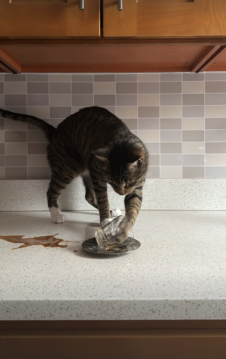 Screenshot 2026-02-12 at 11.44.13 PM.png