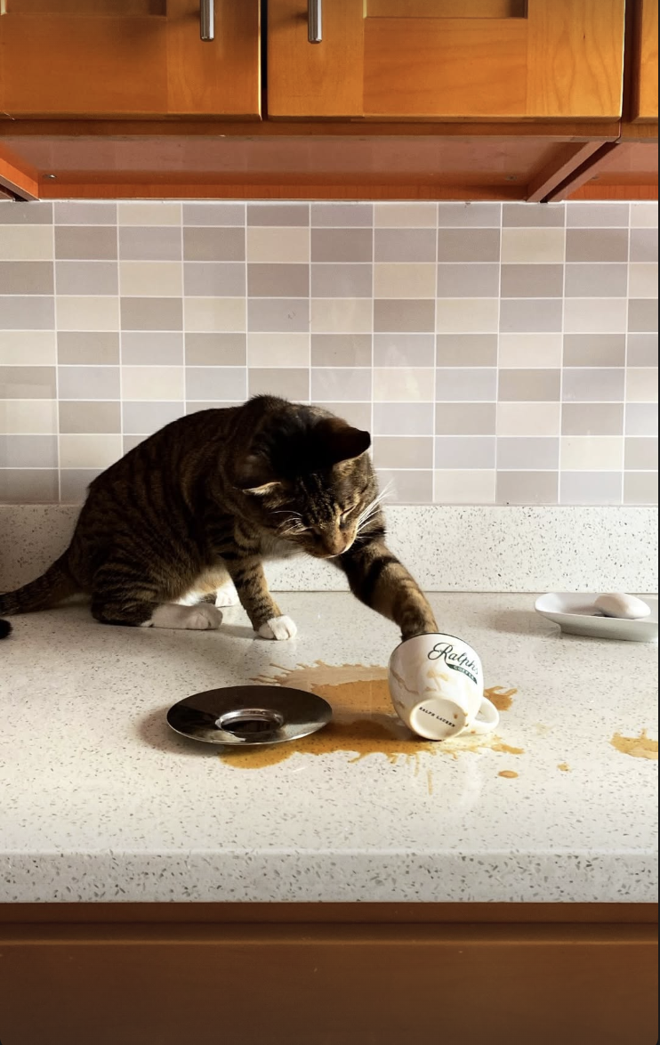 Screenshot 2026-02-12 at 11.42.26 PM.png