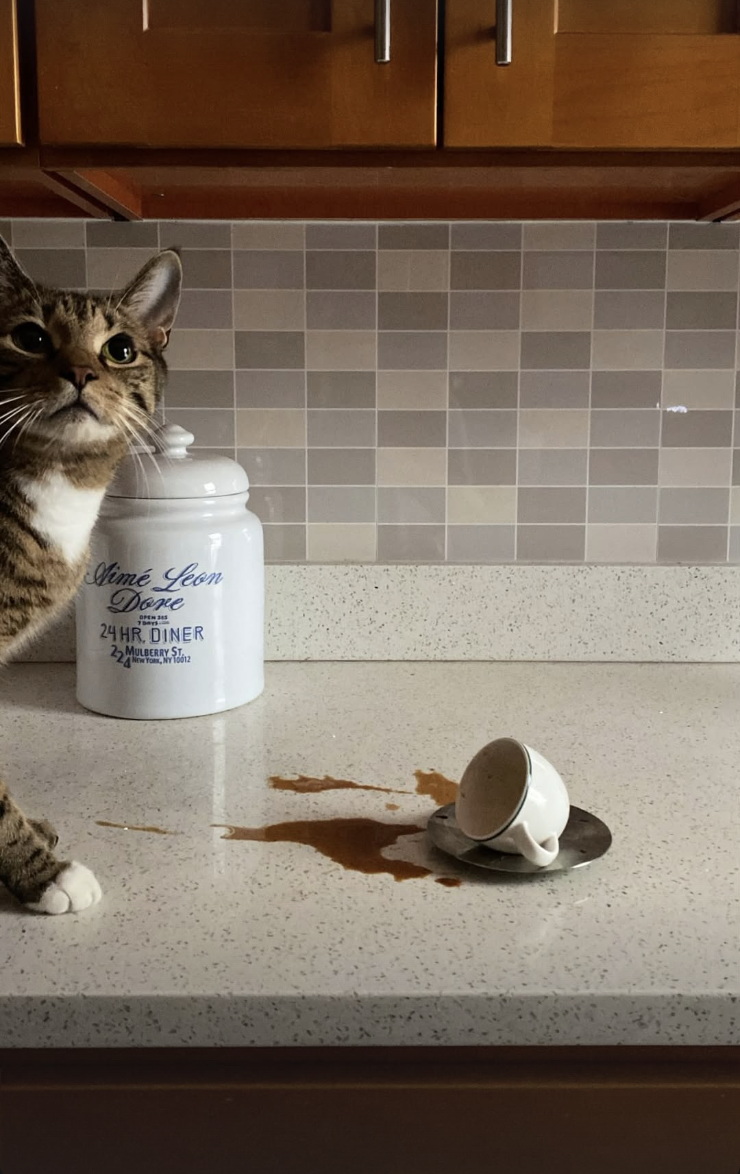 Screenshot 2026-02-12 at 11.43.38 PM.png