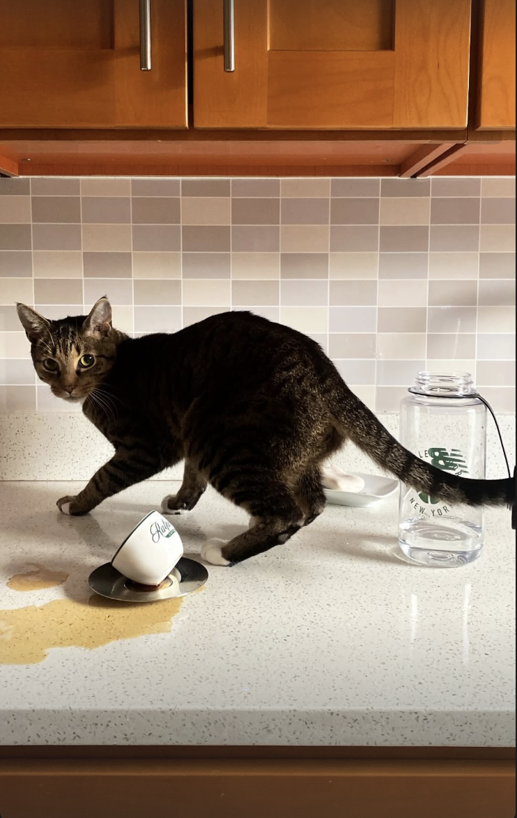 Screenshot 2026-02-12 at 11.41.49 PM.png