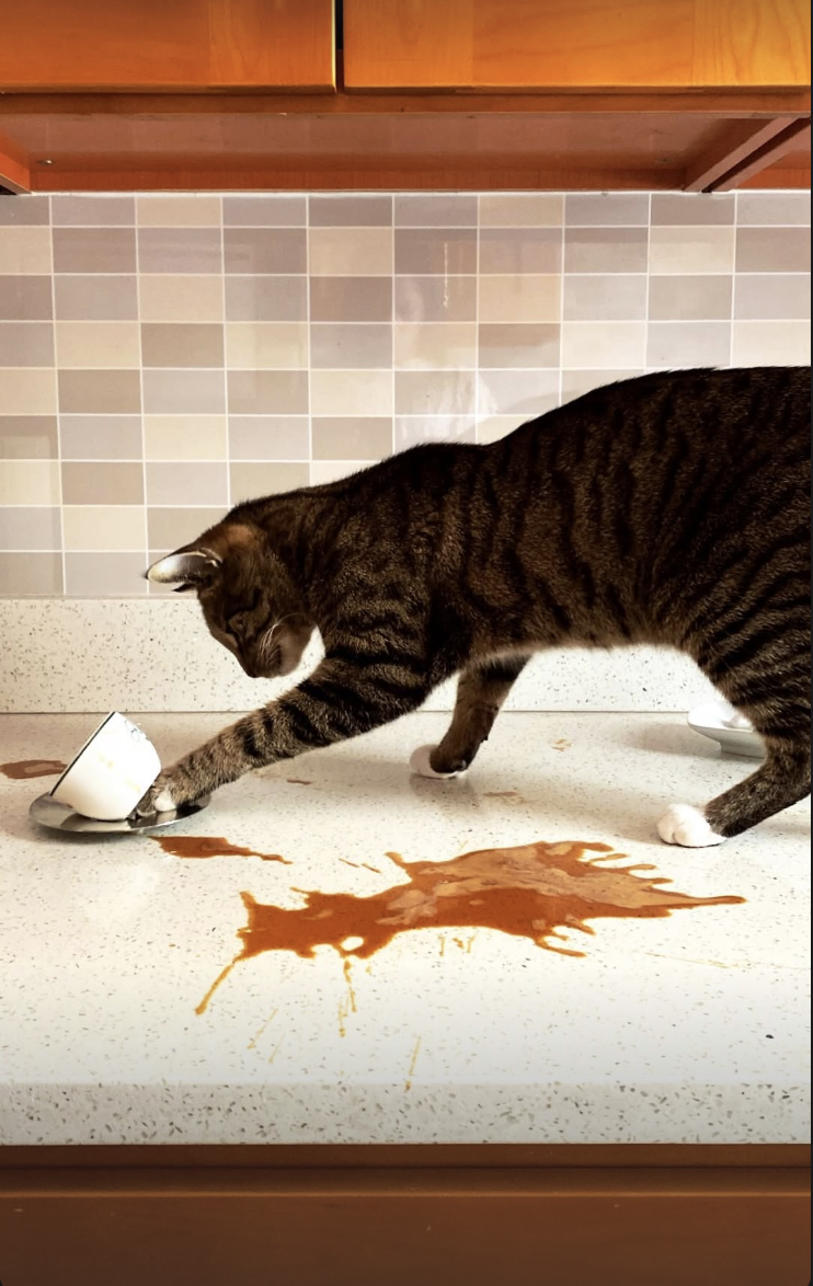 Screenshot 2026-02-12 at 11.42.29 PM.png