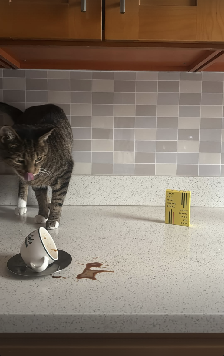 Screenshot 2026-02-12 at 11.45.20 PM.png