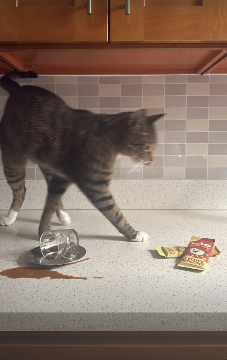 Screenshot 2026-02-12 at 11.45.00 PM.png