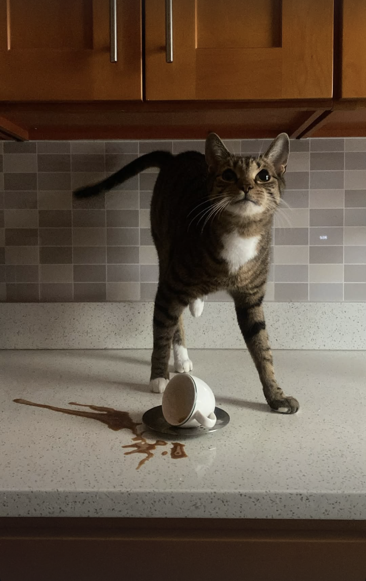 Screenshot 2026-02-12 at 11.43.47 PM.png