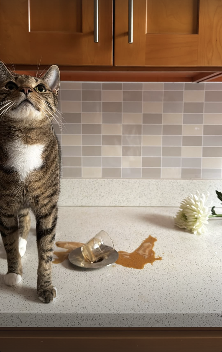 Screenshot 2026-02-12 at 11.43.52 PM.png