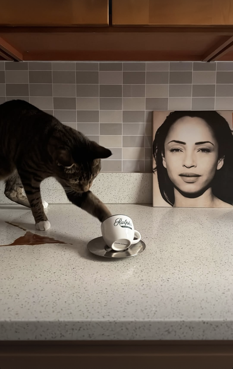 Screenshot 2026-02-12 at 11.44.16 PM.png