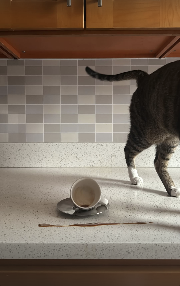 Screenshot 2026-02-12 at 11.45.15 PM.png