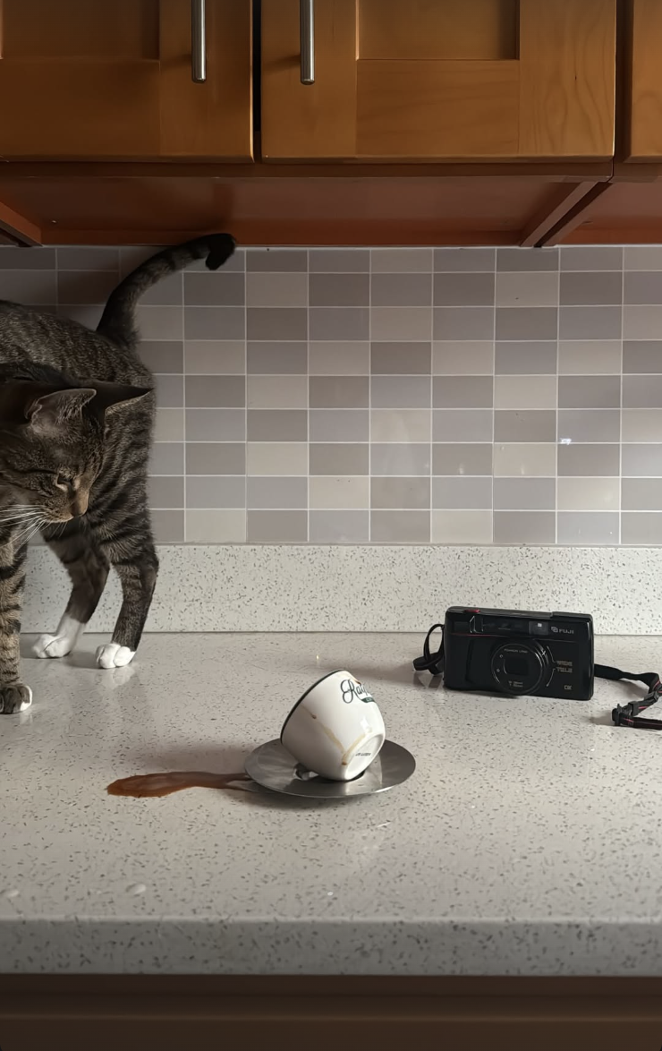 Screenshot 2026-02-12 at 11.45.22 PM.png