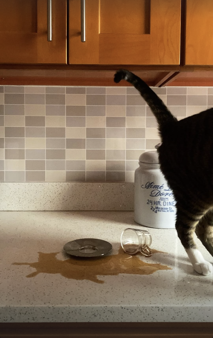 Screenshot 2026-02-12 at 11.43.45 PM.png