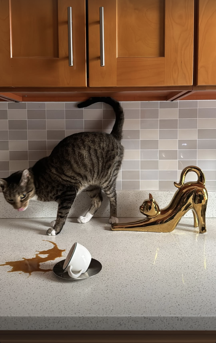 Screenshot 2026-02-12 at 11.44.10 PM.png