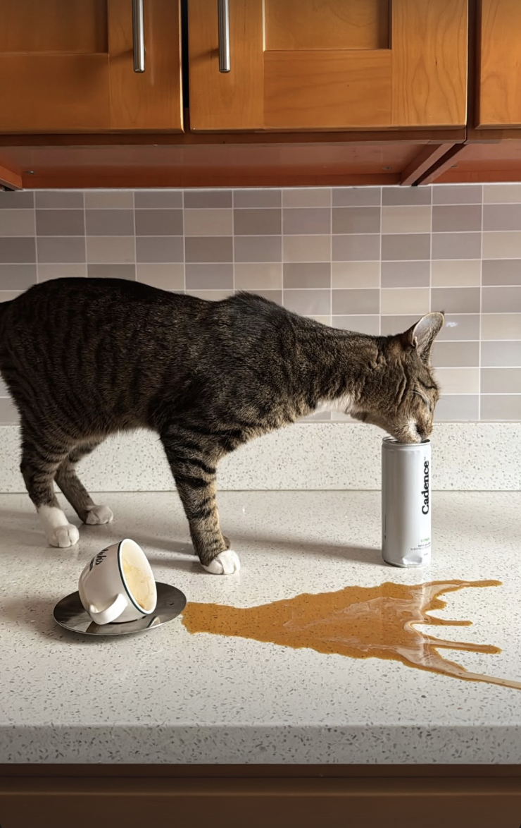 Screenshot 2026-02-12 at 11.44.19 PM.png