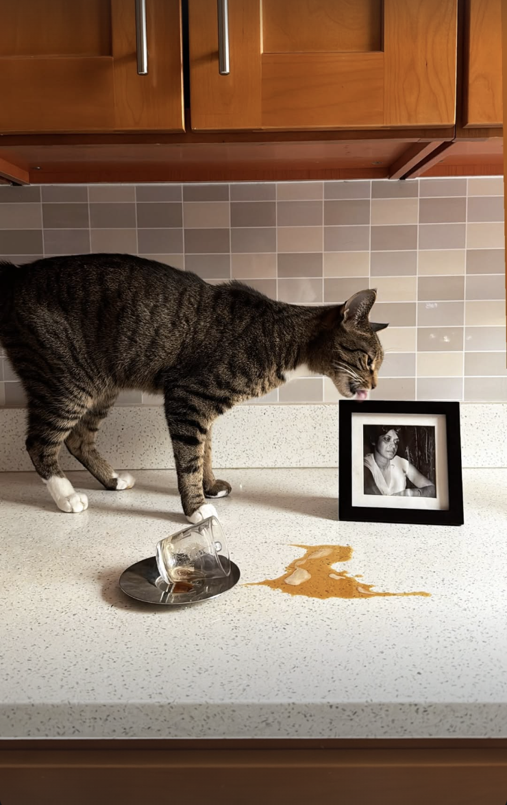 Screenshot 2026-02-12 at 11.44.22 PM.png