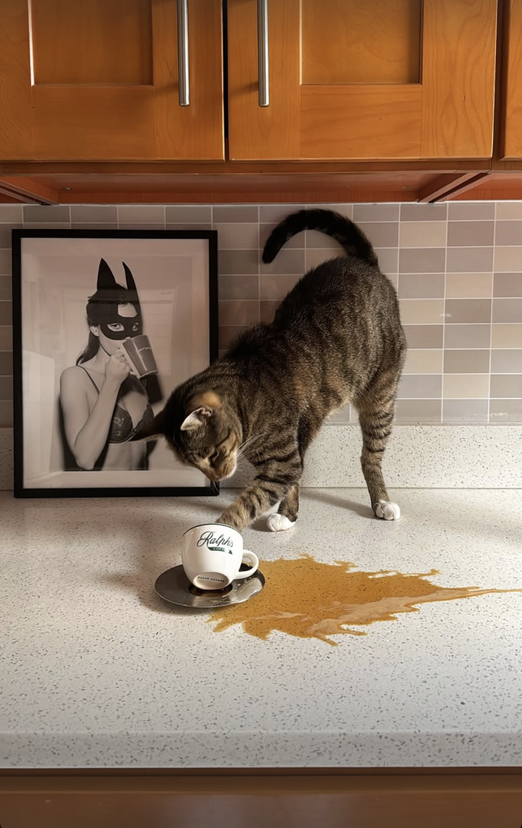 Screenshot 2026-02-12 at 11.43.51 PM.png