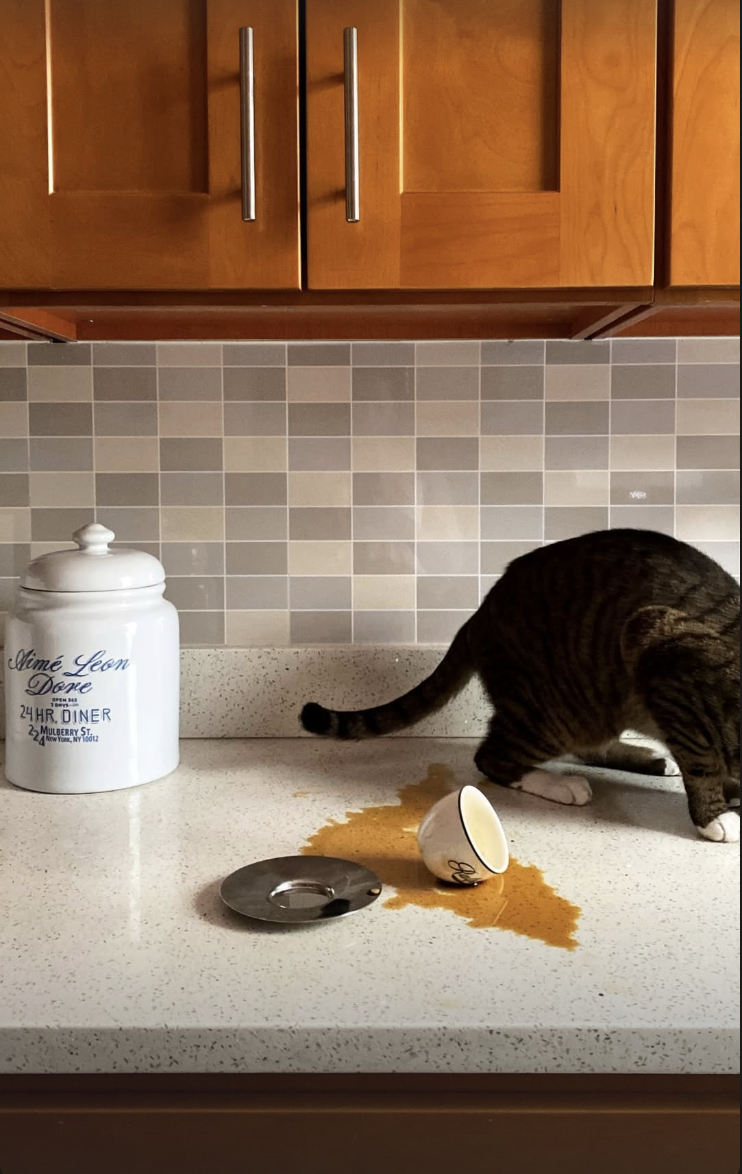 Screenshot 2026-02-12 at 11.42.21 PM.png