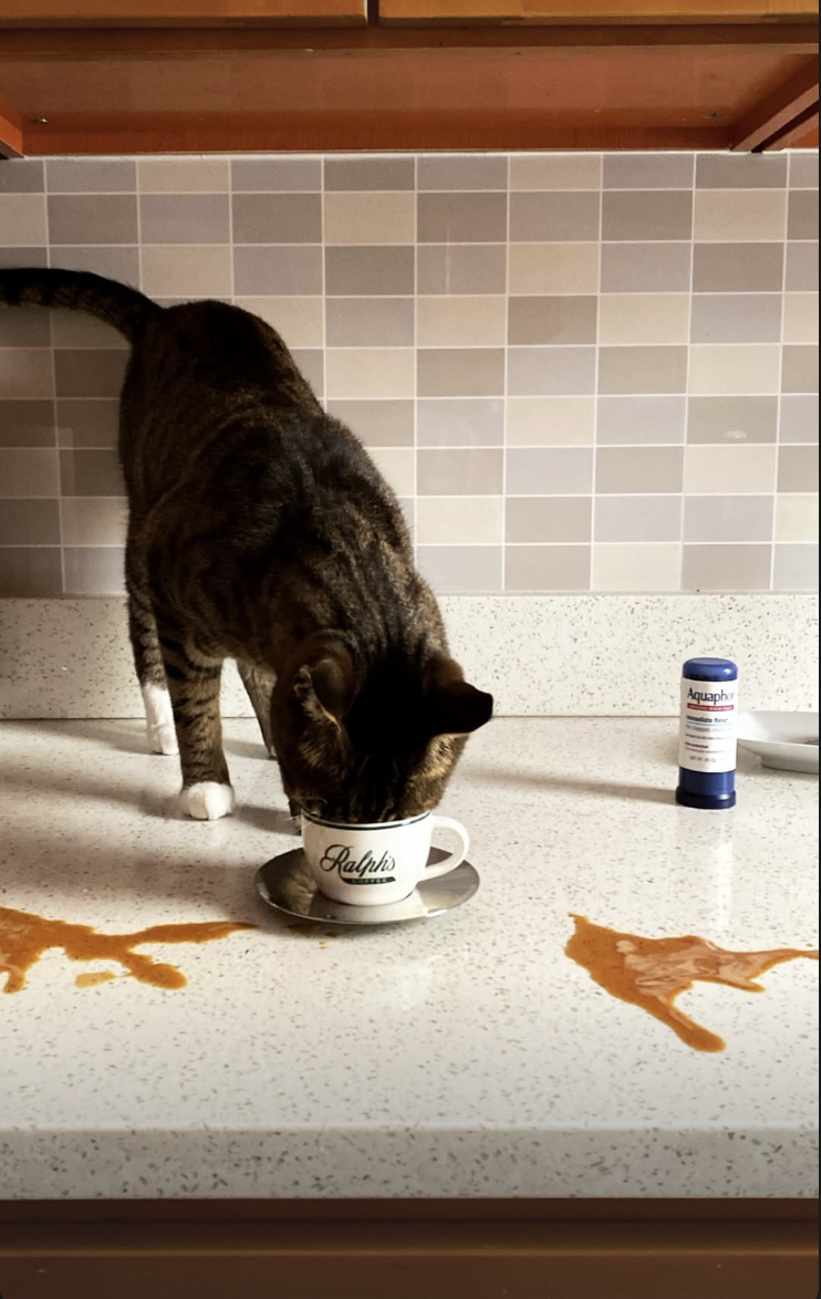 Screenshot 2026-02-12 at 11.41.54 PM.png