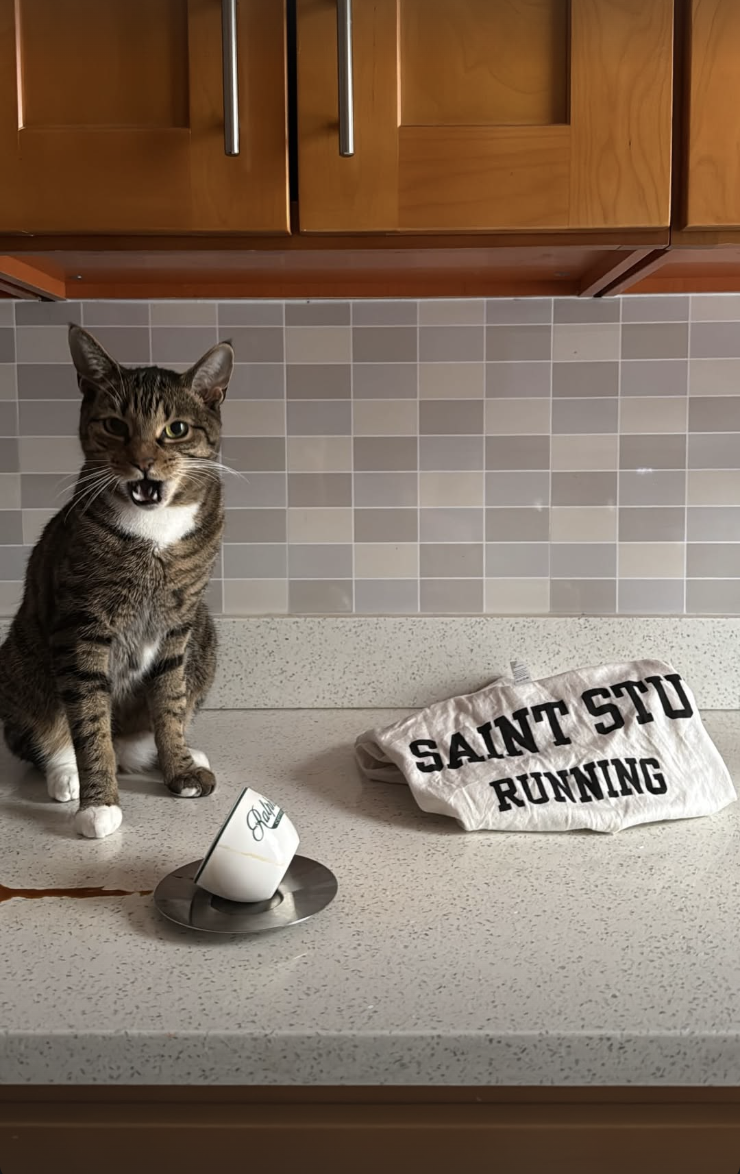 Screenshot 2026-02-12 at 11.45.26 PM.png