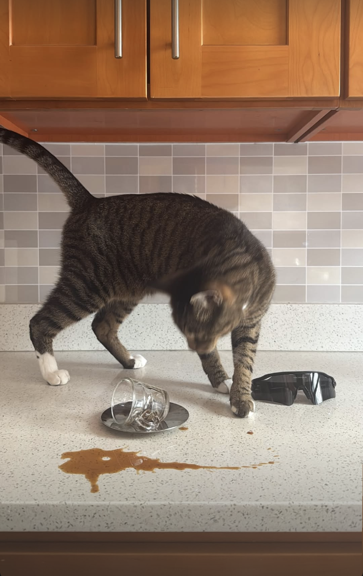 Screenshot 2026-02-12 at 11.44.52 PM.png