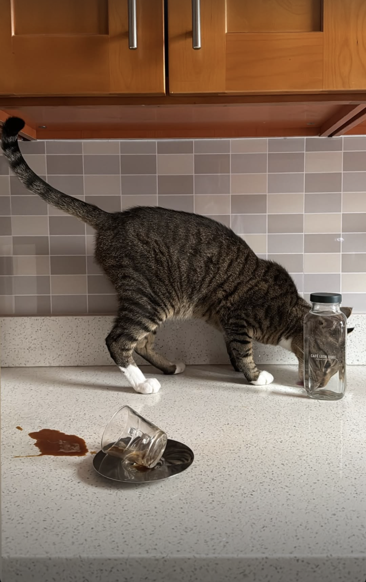 Screenshot 2026-02-12 at 11.43.55 PM.png