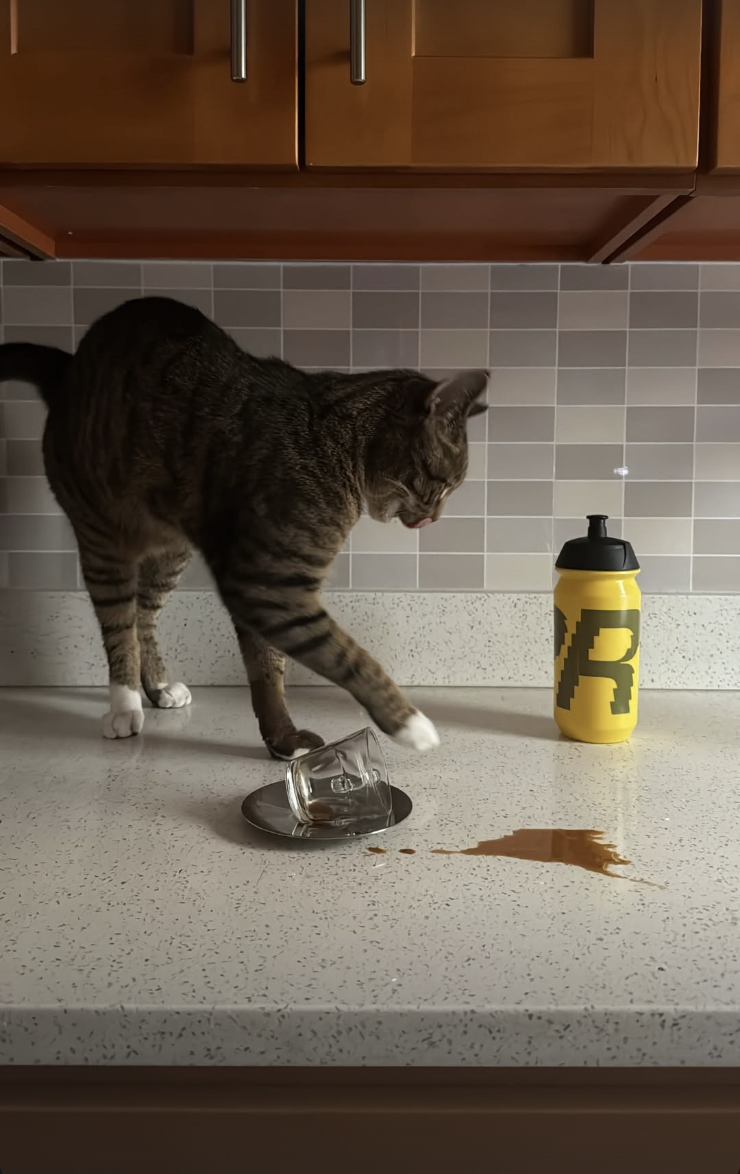 Screenshot 2026-02-12 at 11.44.48 PM.png