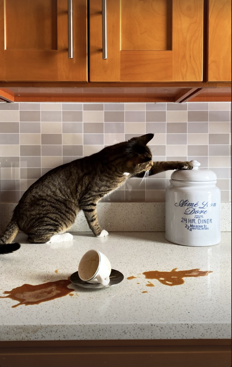 Screenshot 2026-02-12 at 11.42.19 PM.png