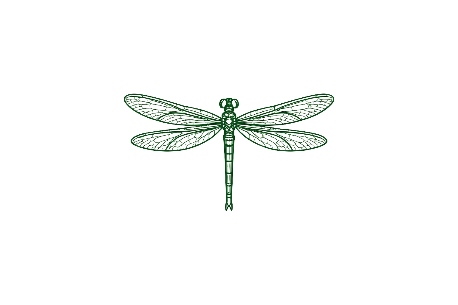 Illustration of a dragonfly over a colorful background with green, purple, blue, gray, and white sections.