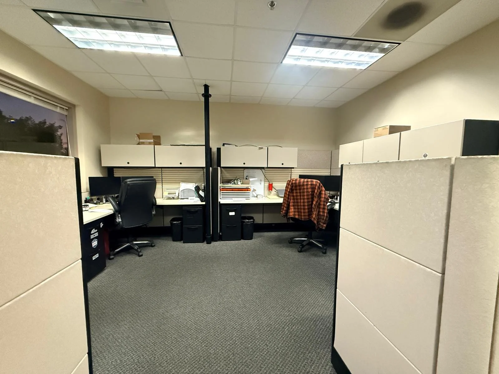 PHOTO-2026-04-03-12-18-21 (4).jpg