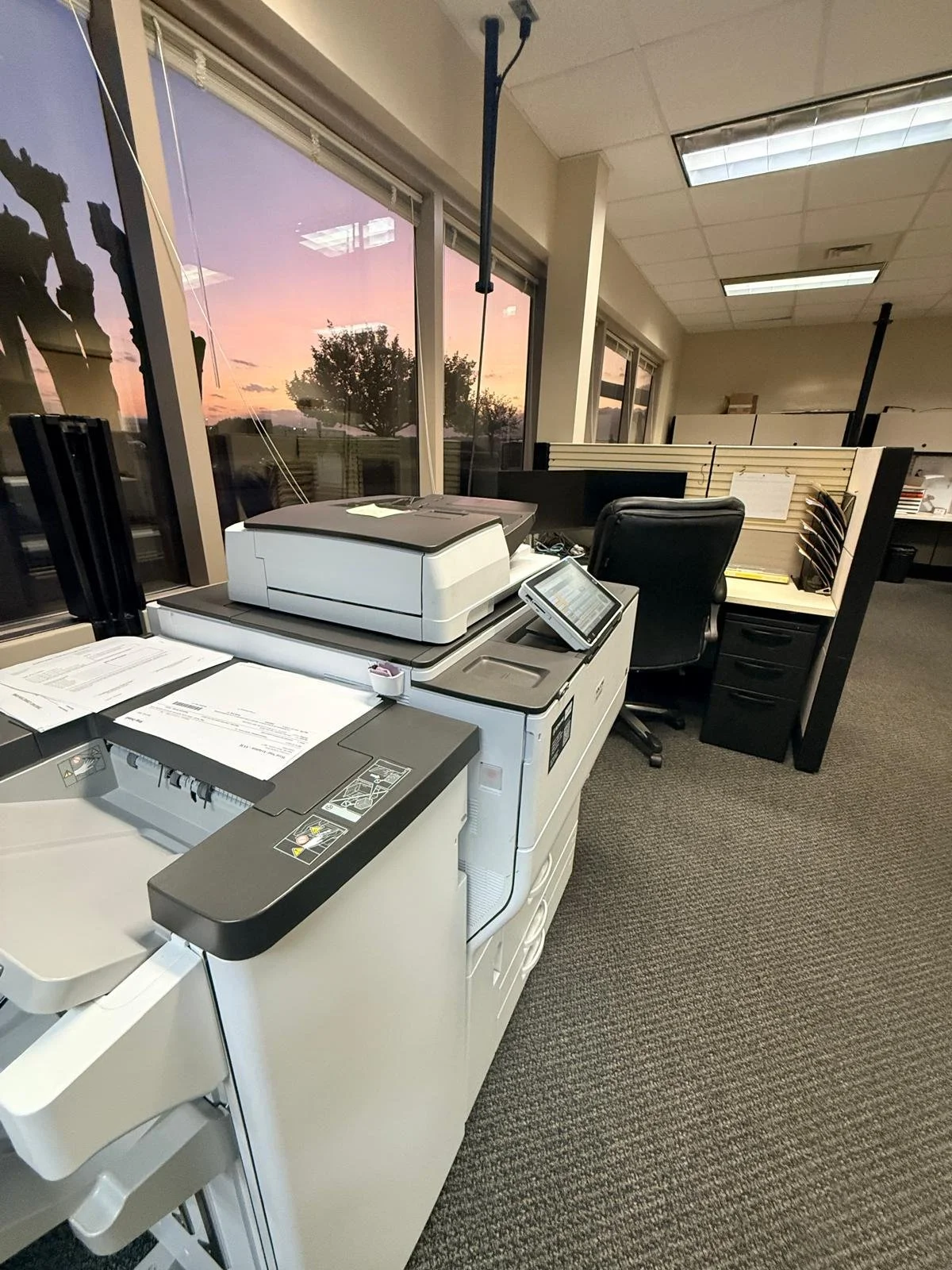 PHOTO-2026-04-03-12-18-21 (5).jpg