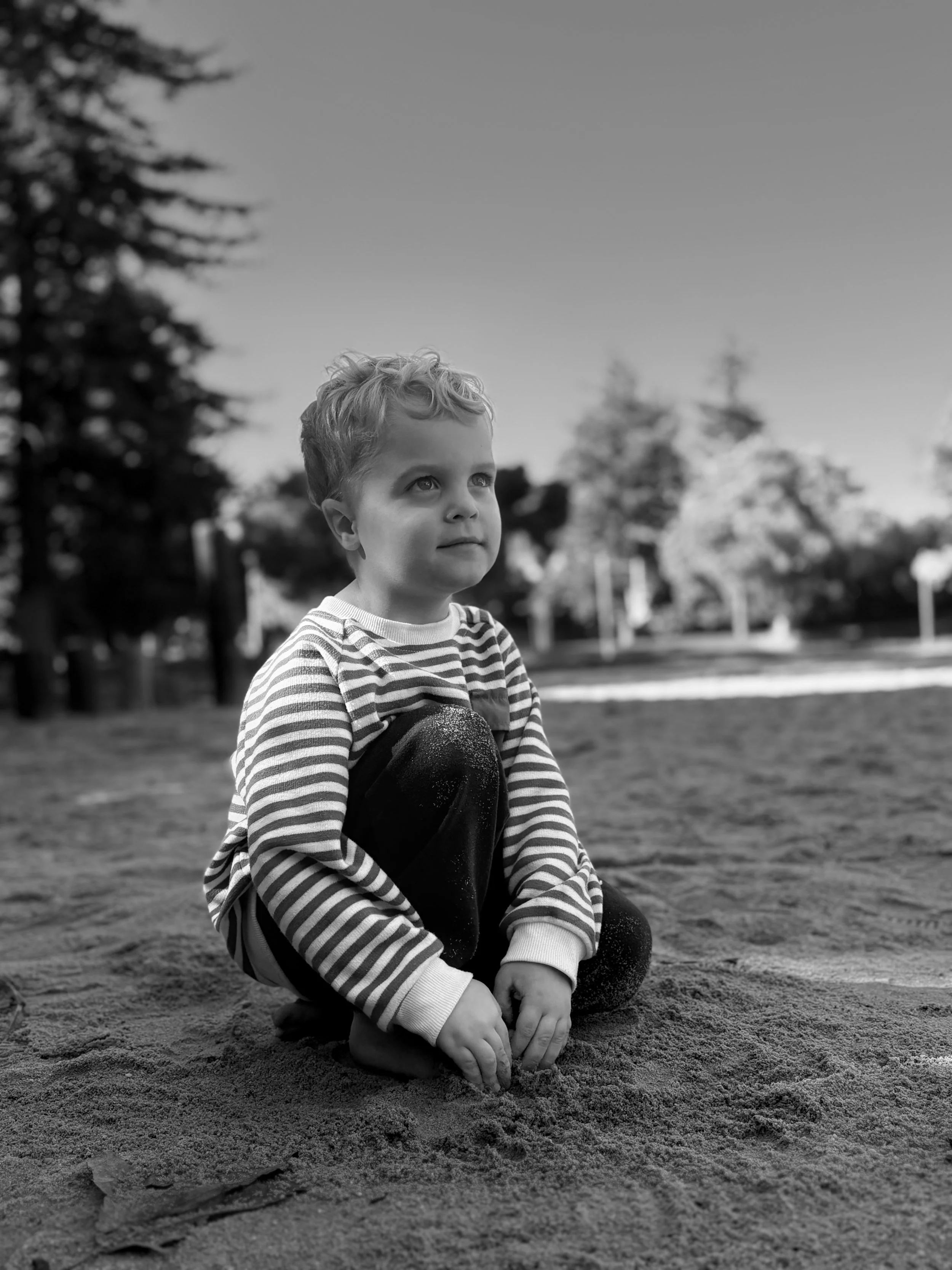 IMG_3479.jpeg