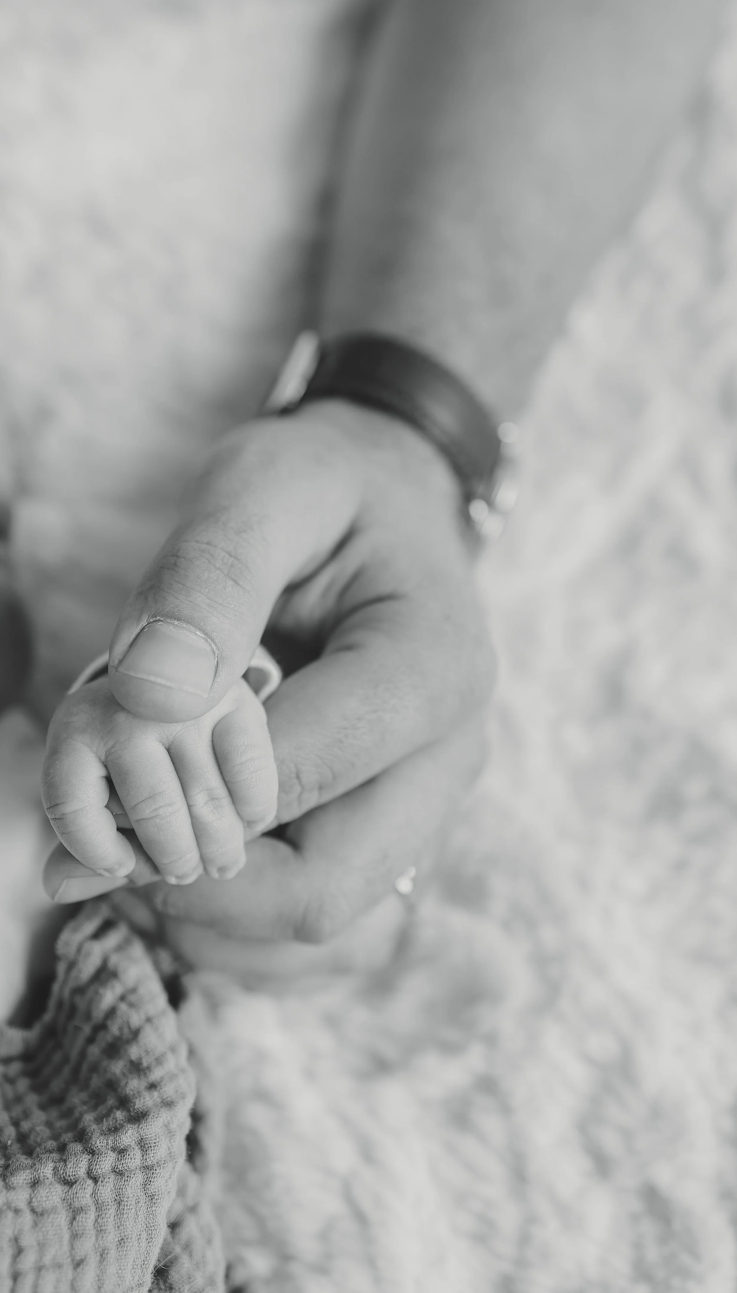 A close-up black and white photo of an adult's hand holding a tiny baby's hand.