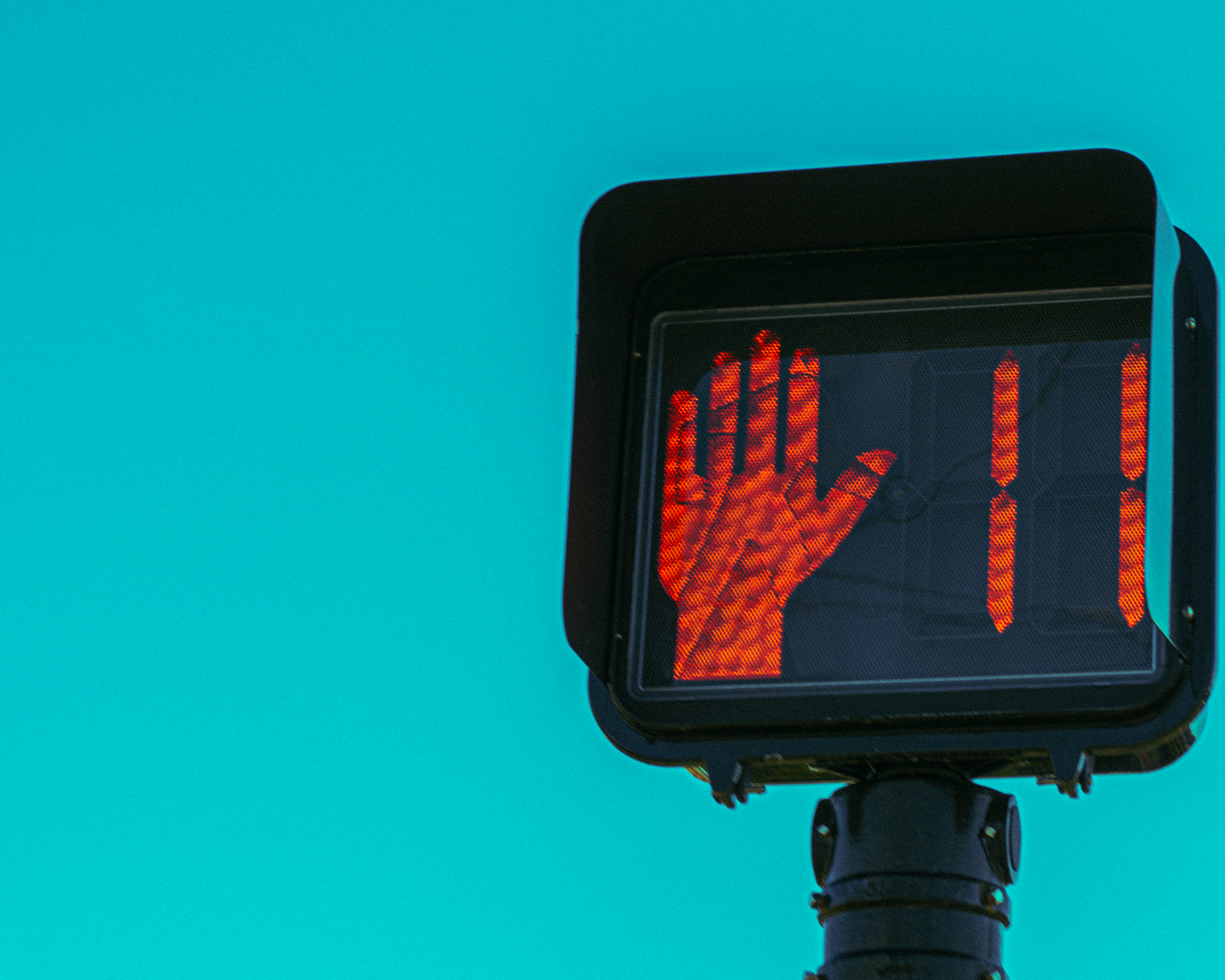 A mood photo taken on a walk