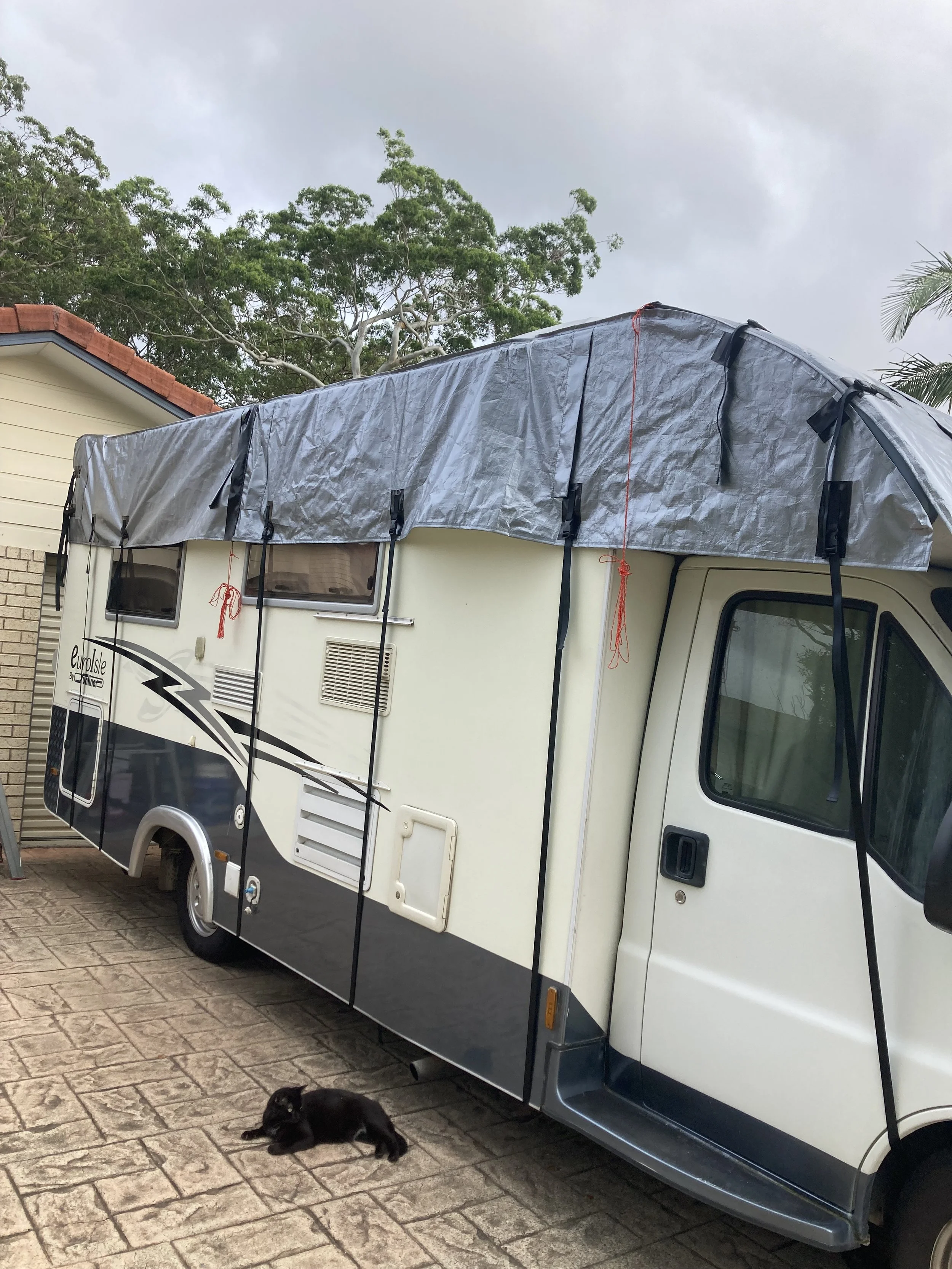 A white Euro campervan with a grey Hamilot cover on top, parked on a paved driveway. A small black cat lies on the ground near the camper. A house with a brick wall and a tree with green leaves are visible in the background.