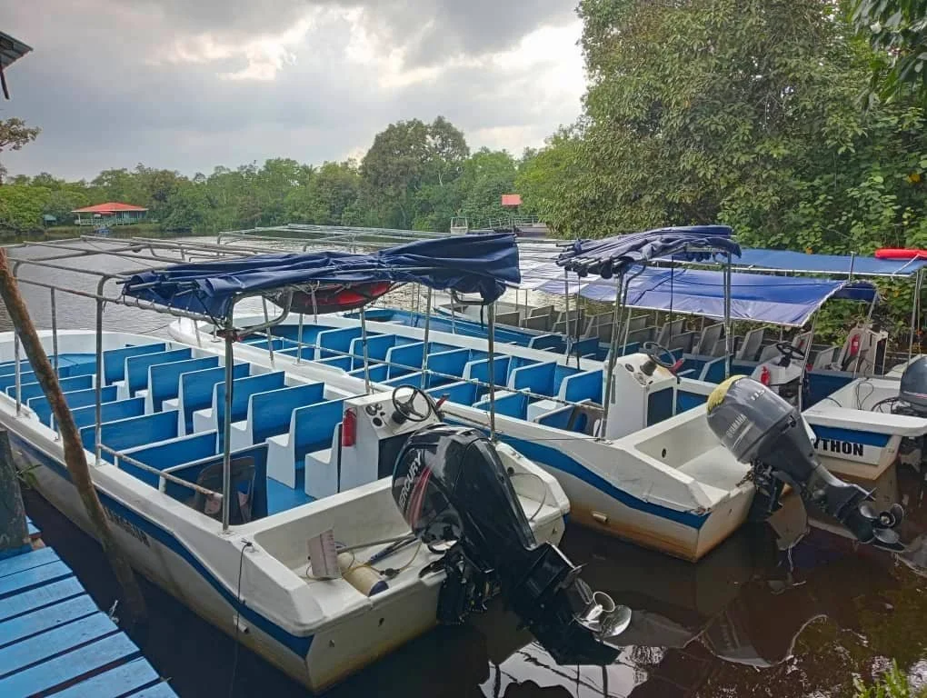 Multiple small motorboats docked side by side along a riverbank with blue canopies and green trees in the background.