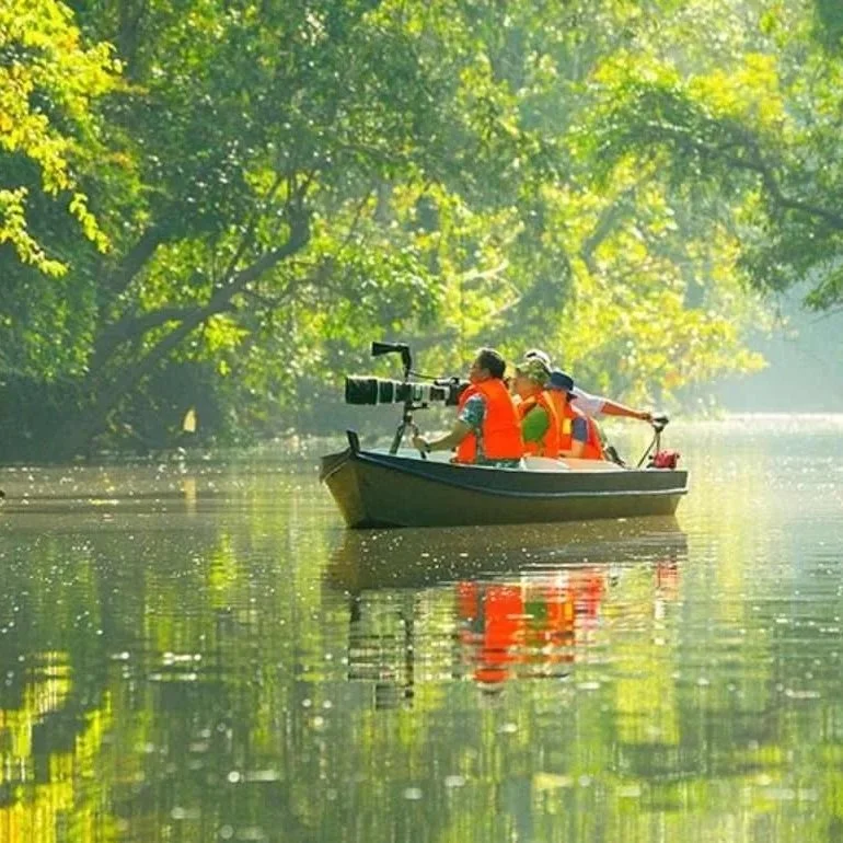 KINABATANGAN SAFARI. Search for pygmy elephants, proboscis monkeys and hornbills on the river.   WILDLIFE - FULL DAY - FROM SANDAKAN/SEPILOK.
