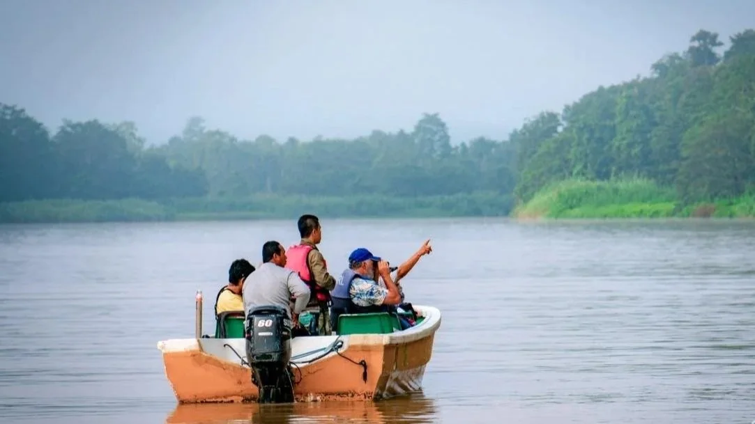 KINABATANGAN RIVER.  WILDLIFE CRUISES.  2-3 DAYS