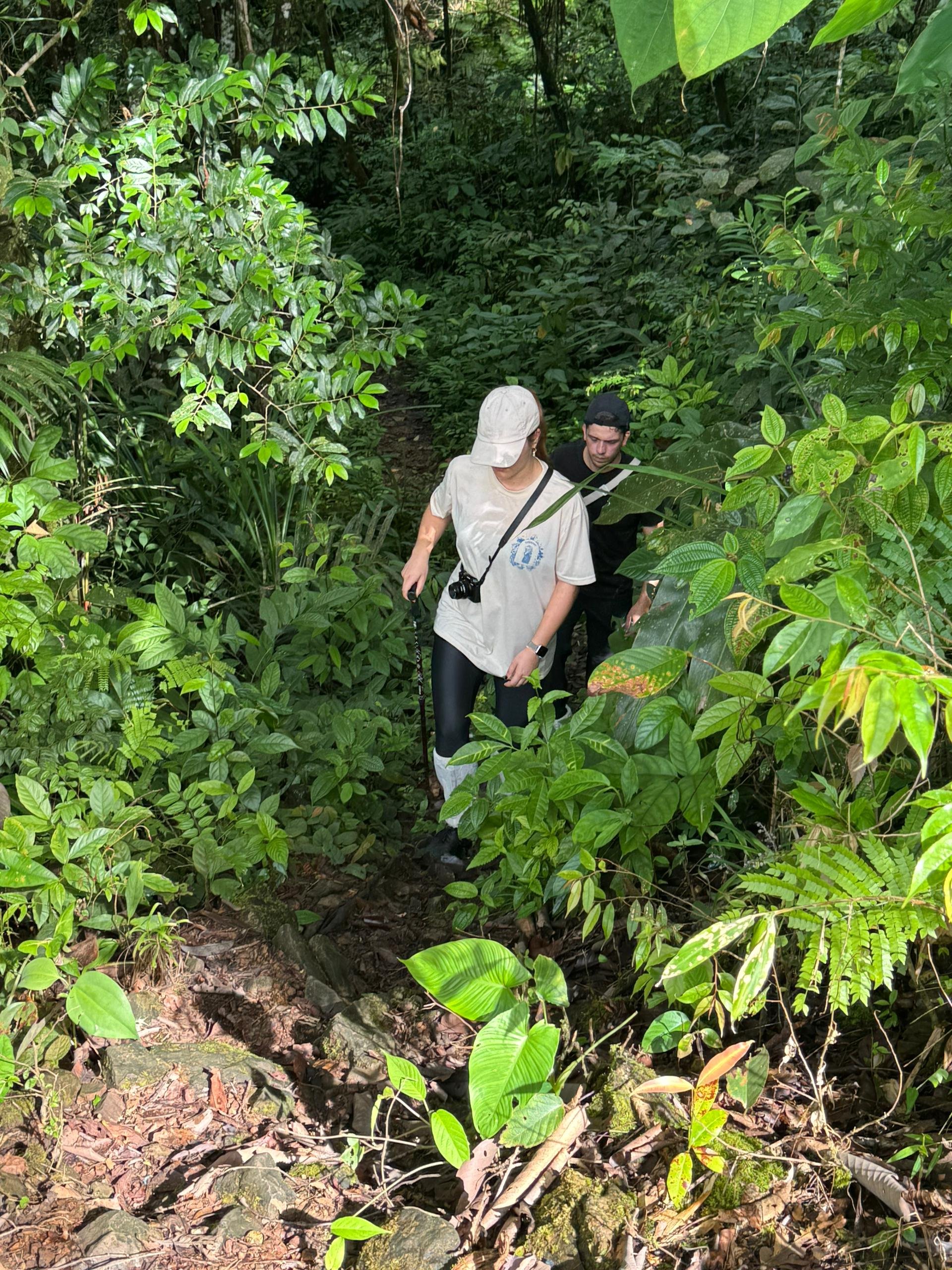 Two people are hiking through a dense, green jungle trail, wearing walking gear and surrounded by lush foliage.