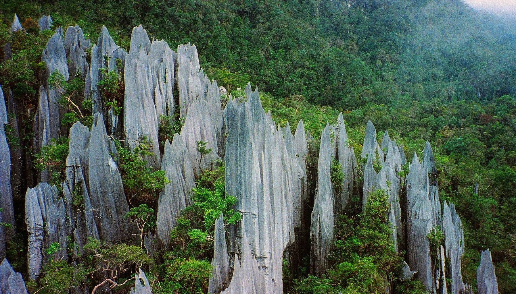 MULU NATIONAL PARK.  Sarawak's crown jewel — cathedral caves, jungle treks and the razor-sharp Pinnacles.  CAVES & JUNGLE.  3-4 NIGHTS.  EASY-CHALLENGING