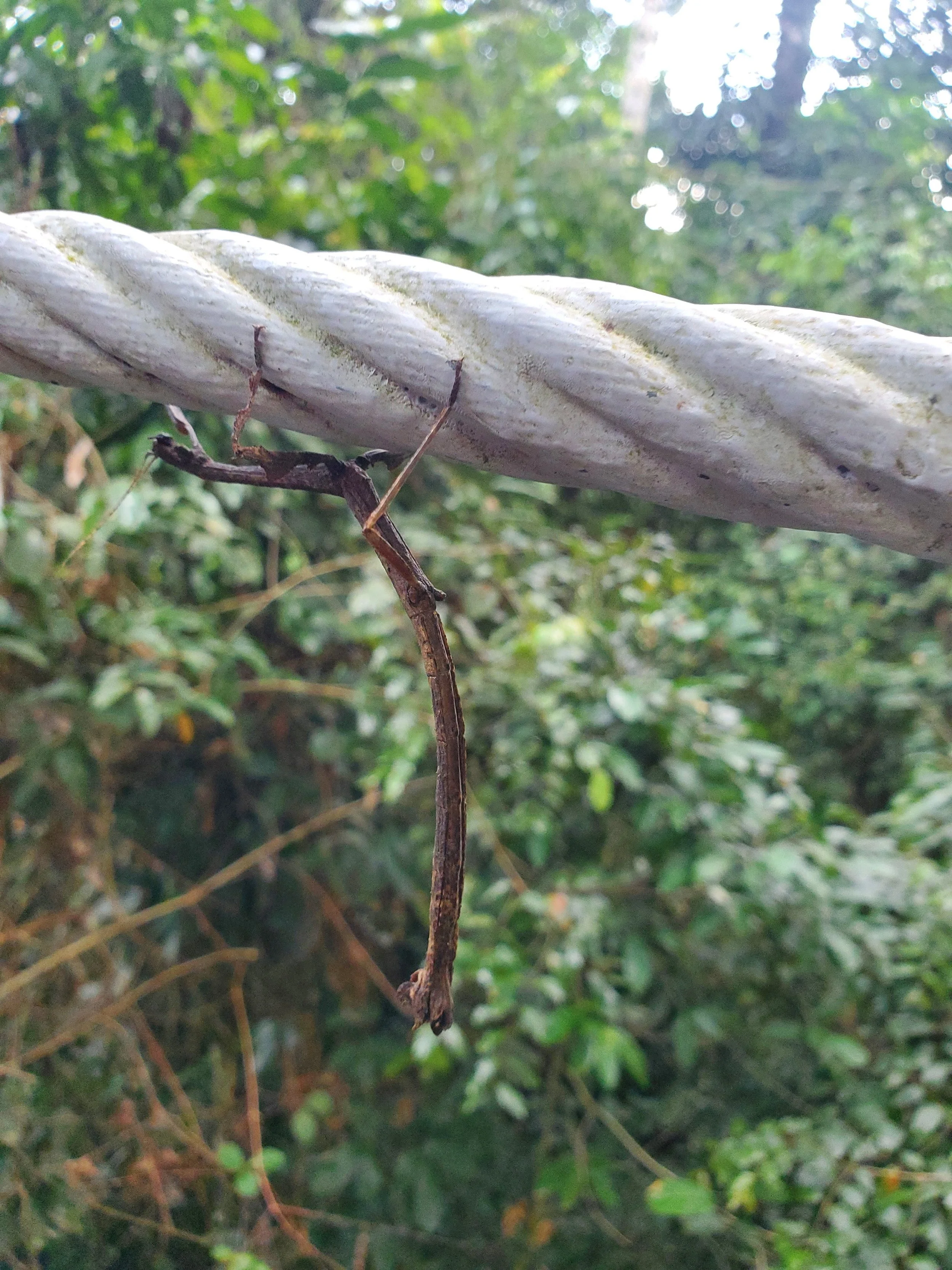 20260112_161656 (1).jpg