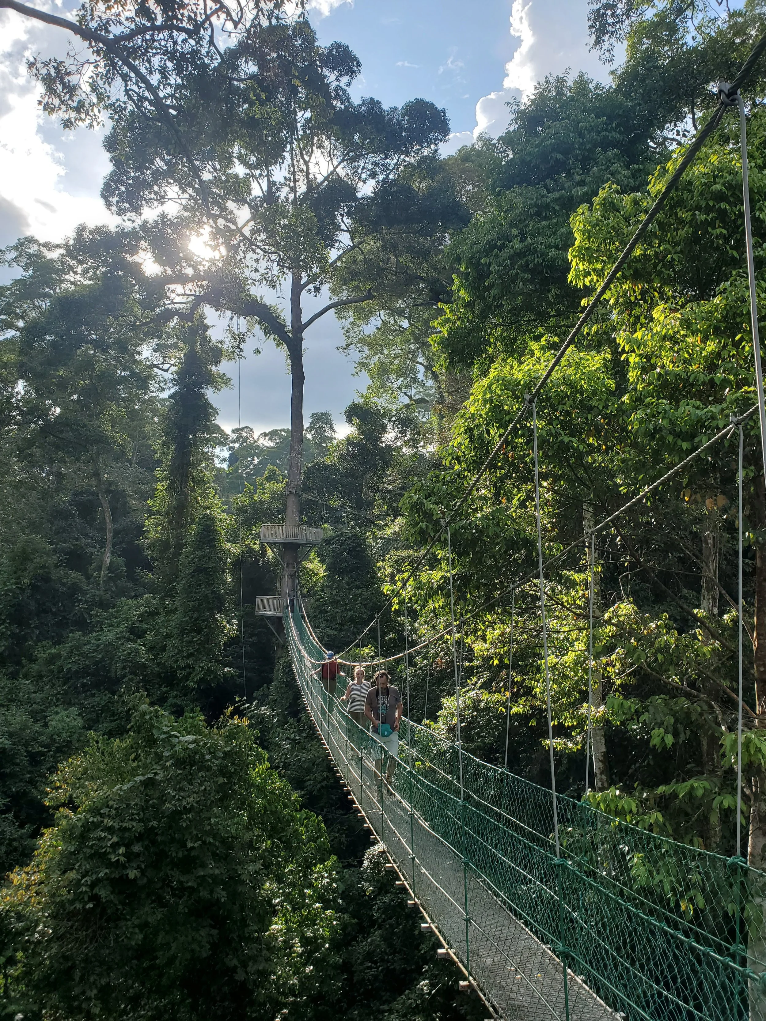 20260112_162823 (1).jpg