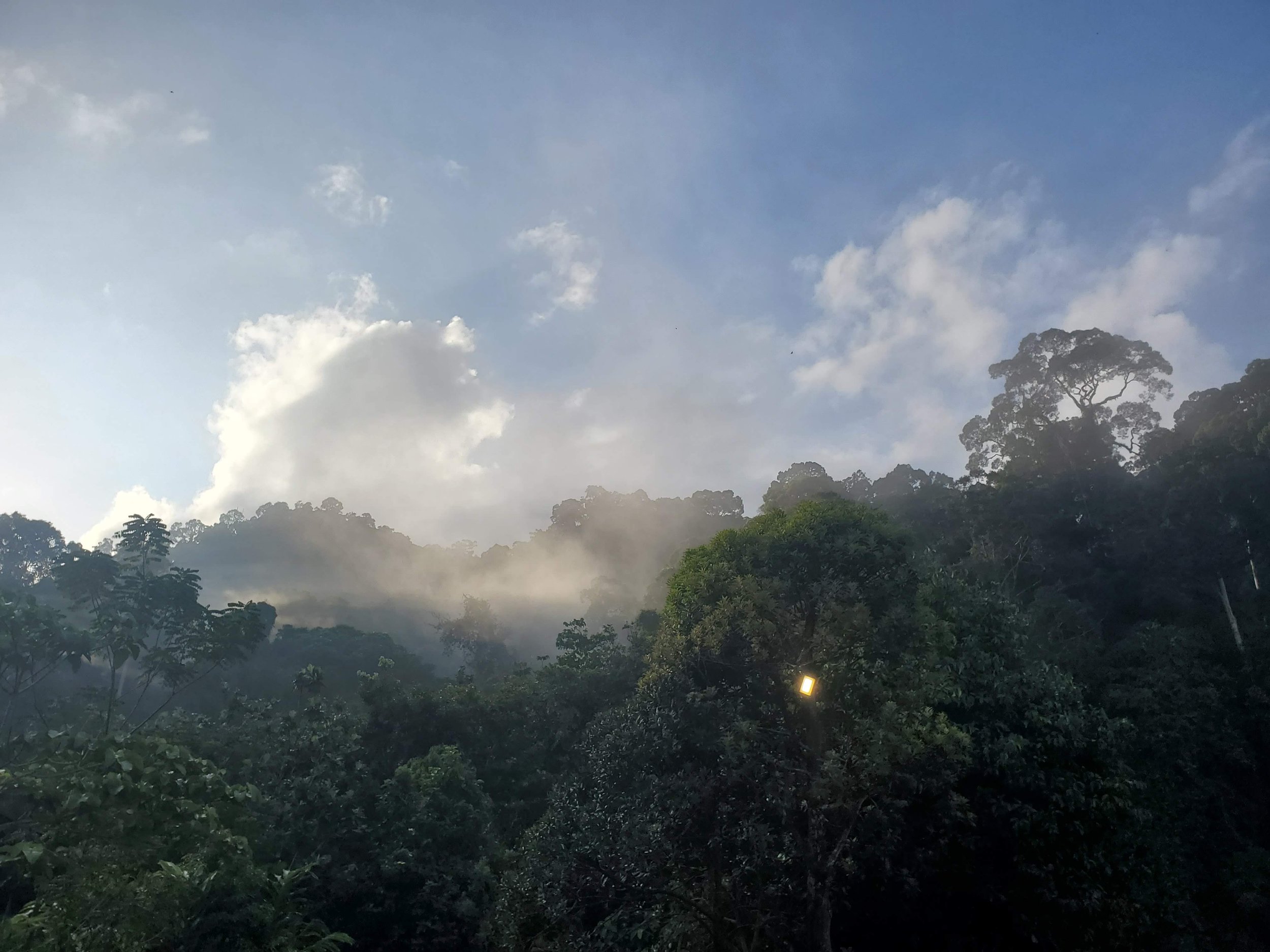 20260113_072656 (1).jpg