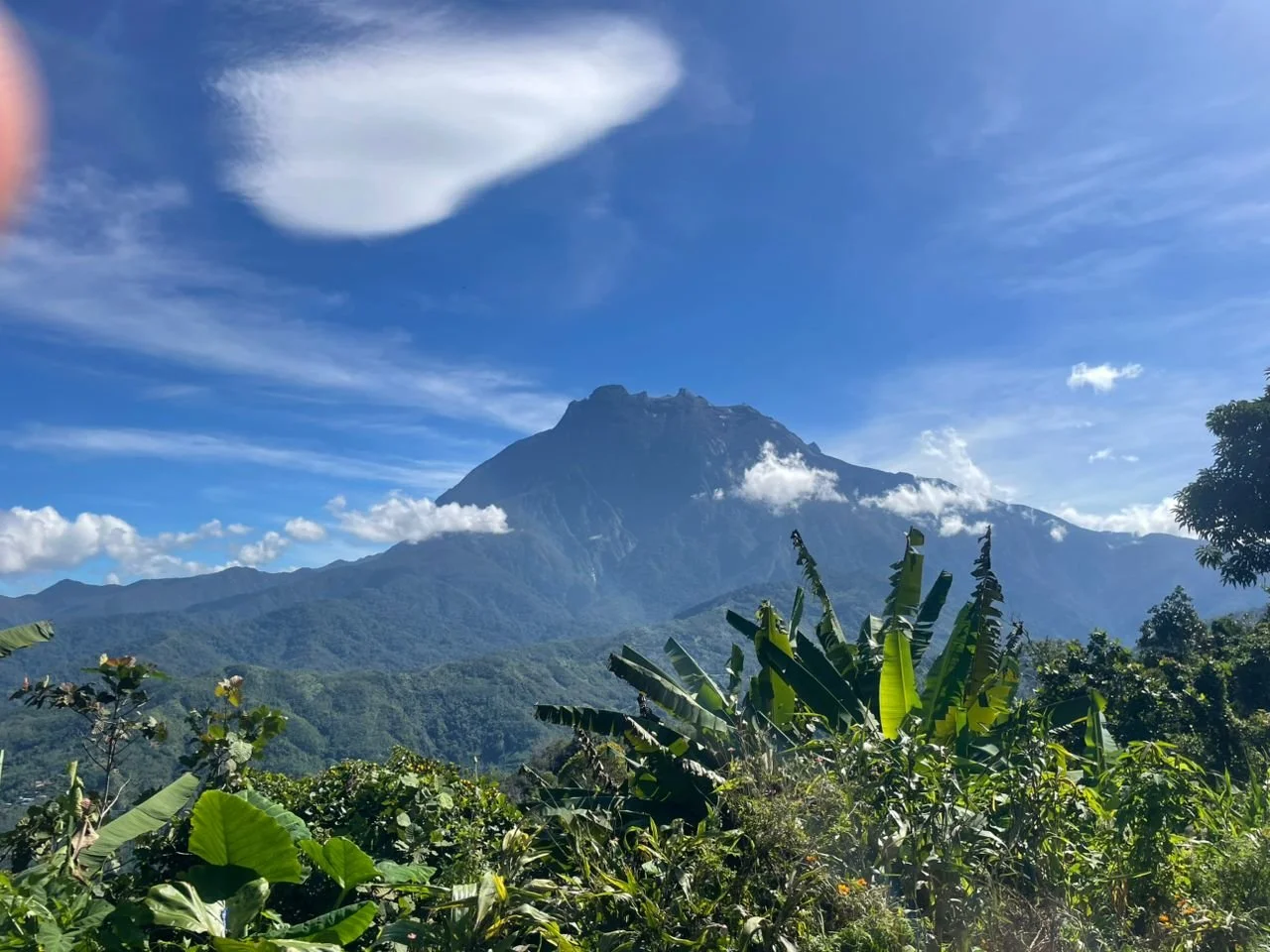 WhatsApp Image 2026-02-17 at 4.46.53 PM.jpeg